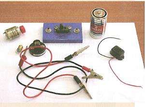 (בספר איור של נורה בתוך בית נורה)